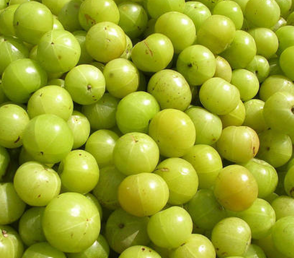 Amla