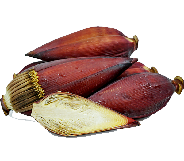 Banana Flower