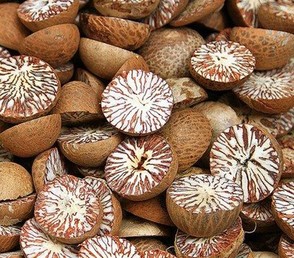 Betel nut Half