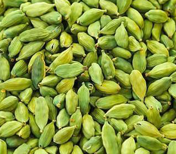 Cardamon