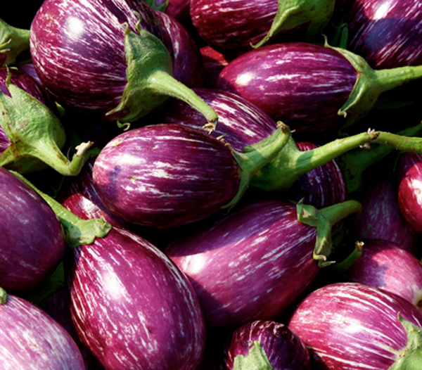 Brinjal