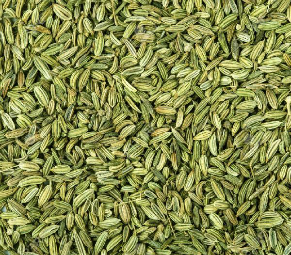 Fennel Seeds