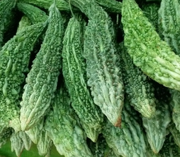Karela