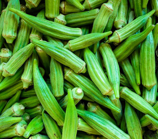 Okra