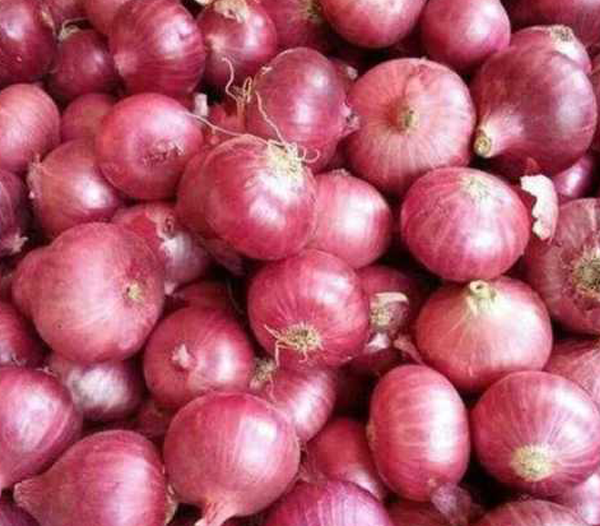 Red Onions