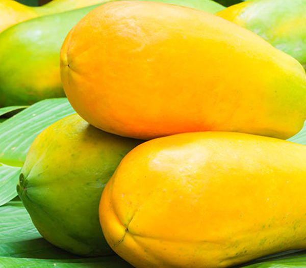 Papaya