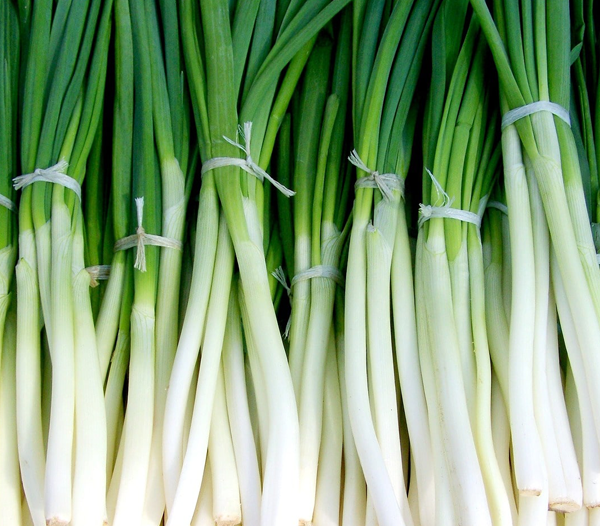 Spring Onions