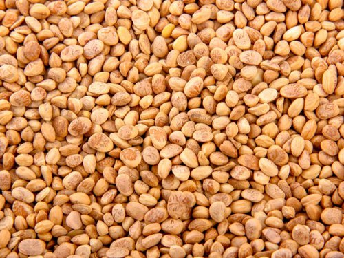 Chirongi Nuts