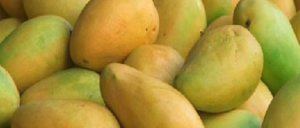 Kesar