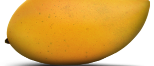 Totapuri Mango